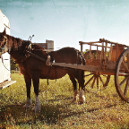 Red River Wagon - Version 2