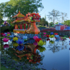 Dragon Boat on Lotus Pond
